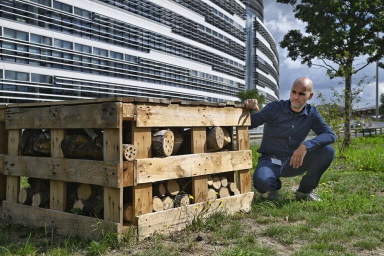 Die Wirtschaft lässt es summen