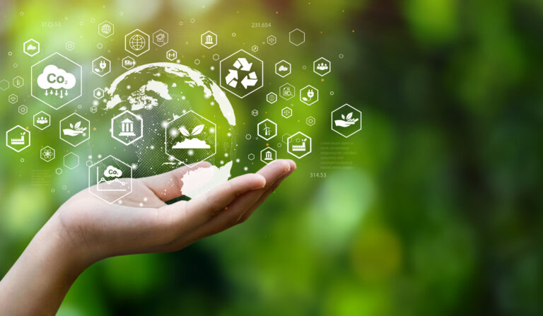 Vorsicht, Greenwashing-Falle!